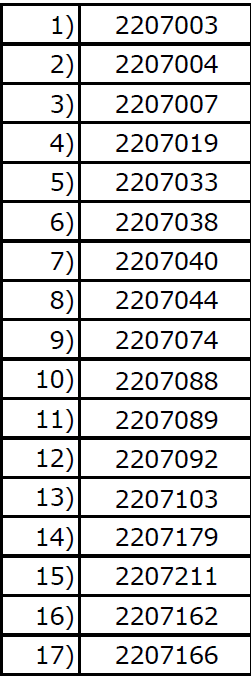 2022年7月学期新入生レベル発表（初中級）